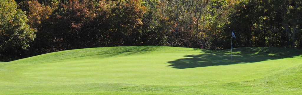 view of a green at Sandwich Hollows Golf Club