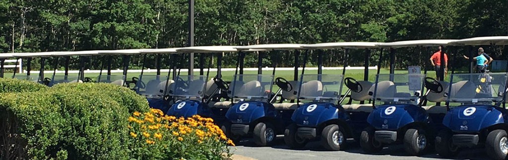 row of golf carts