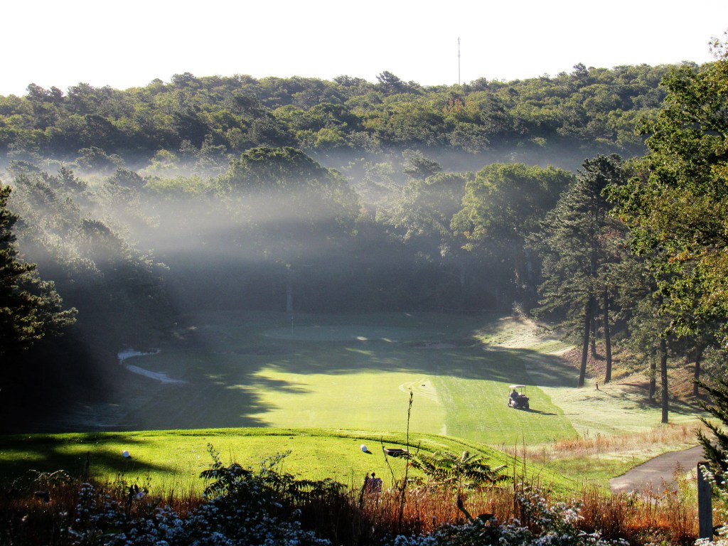 Pro Shop Header photo